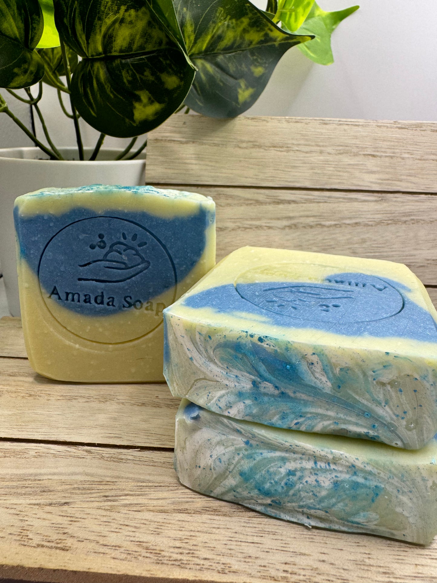 Aqua D Gior Soap