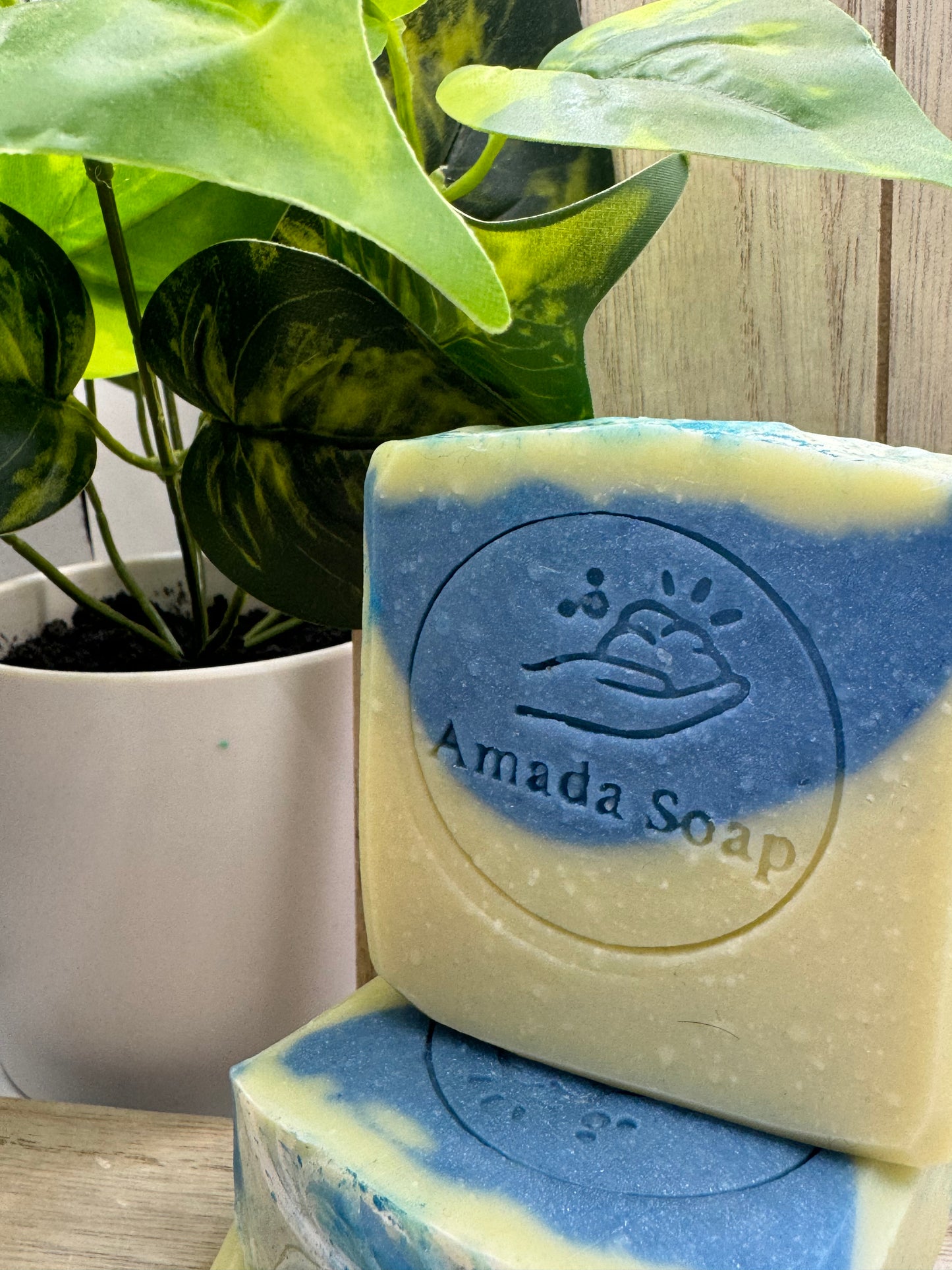 Aqua D Gior Soap